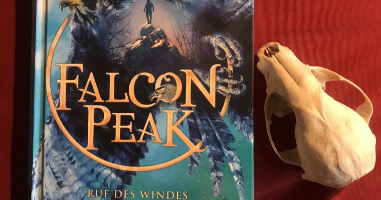 Falcon Peak – Ruf des Windes