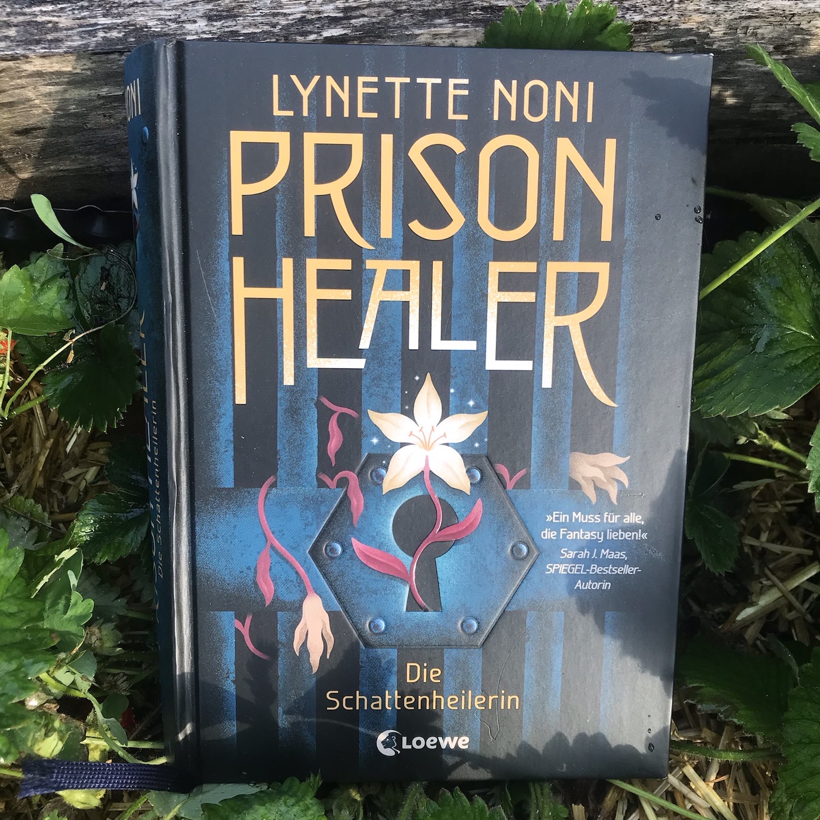 Prison Healer – Die Schattenheilerin