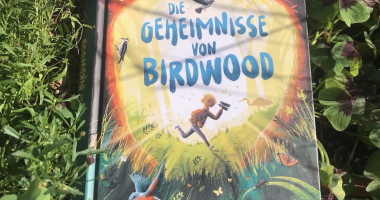 Die Geheimnisse von Birdwood – Das Versteck