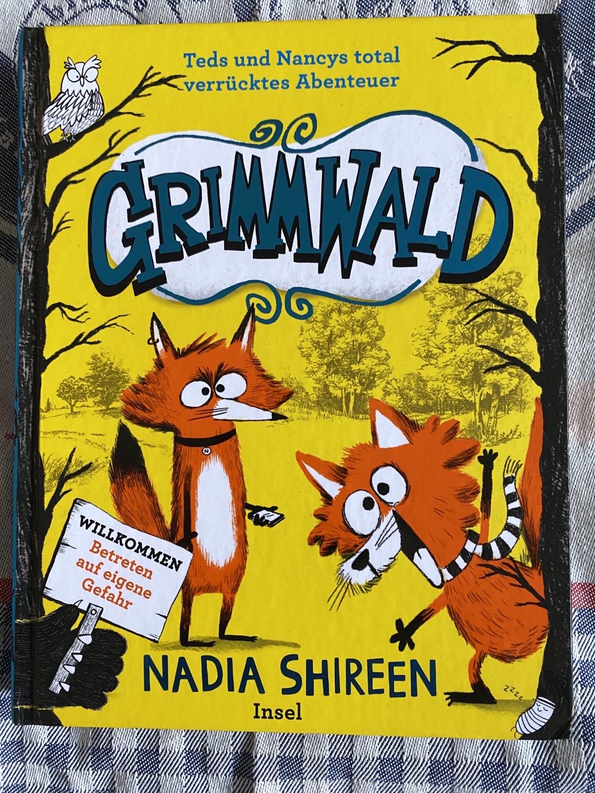 Teds und Nancys total verrücktes Abenteuer – Grimmwald