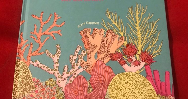 Korallen: Wer lebt im Riff
